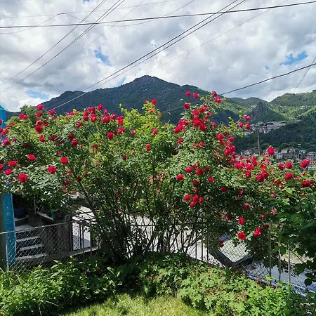 Appartement - софи, гр. *