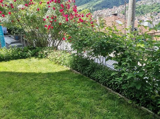 - софи, гр. アパート デヴィン