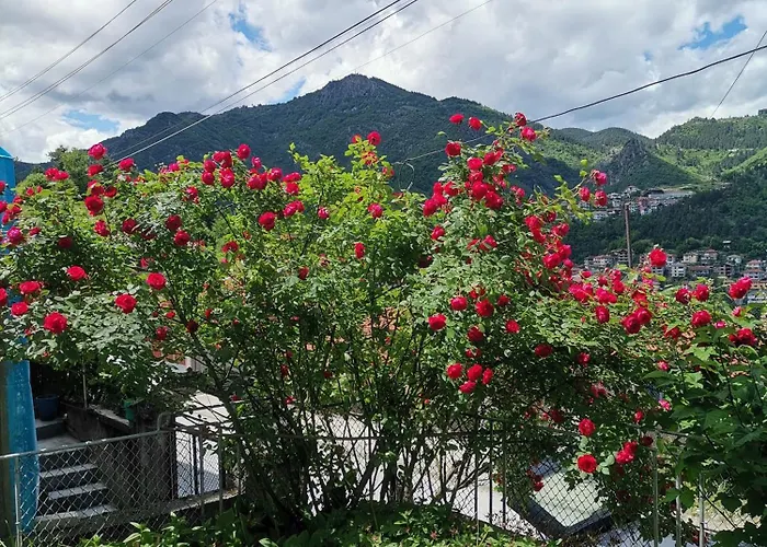 アパート - софи, гр. *